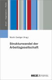Strukturwandel der Arbeitsgesellschaft (eBook, PDF)