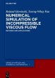 Numerical Simulation of Incompressible... - Bild 1