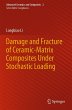 Damage and Fracture of Ceramic-Matrix... - Bild 1