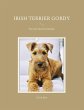 Irish Terrier Gordy - Bild 1