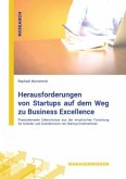 Herausforderungen von Startups auf dem Weg zu Business Excellence