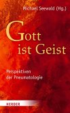 &quote;Gott ist Geist&quote; (eBook, PDF)