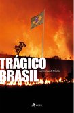 Trágico Brasil (eBook, ePUB)