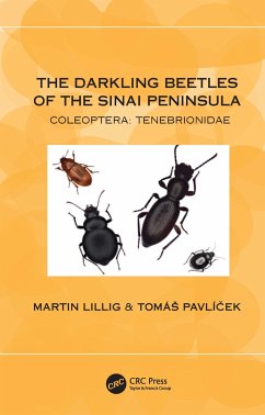 The Darkling Beetles of the Sinai Peninsula - Lillig, Martin; Pavlí&