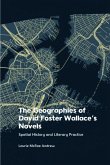 The Geographies of David Foster Wallace's Novels