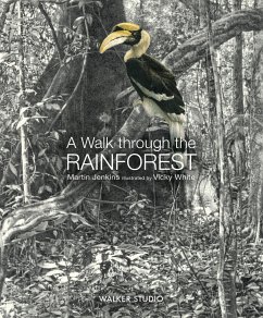 A Walk Through the Rainforest - Jenkins, Martin