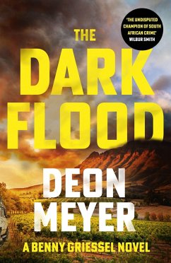 The Dark Flood - Meyer, Deon