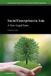 Social Enterprises in Asia - Bild 1
