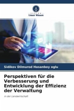 Perspektiven für die Verbesserung und Entwicklung der Effizienz der Verwaltung - Dilmurod Hasanboy oglu, Sidikov