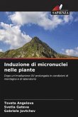 Induzione di micronuclei nelle piante