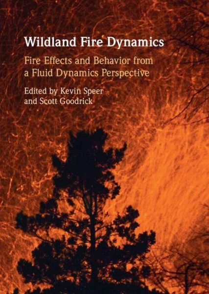 Wildland Fire Dynamics Wildland Fire Dynamics