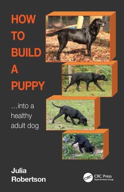 How to Build a Puppy (eBook, ePUB) - Robertson, Julia