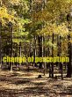 Change of Perception (eBook, ePUB) - Bild 1