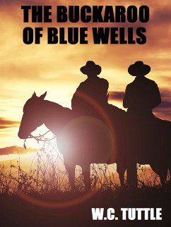 The Buckaroo of Blue Wells (eBook, ePUB)