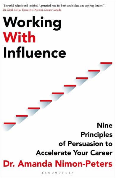 Working With Influence (eBook, PDF)