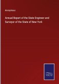 Annual Report of the State Engineer and Surveyor of the State of New York
