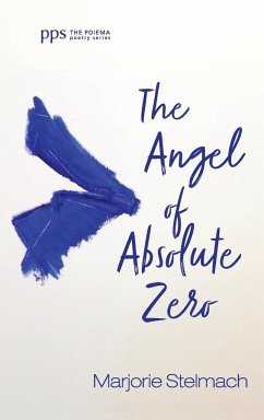 The Angel of Absolute Zero - Stelmach, Marjorie