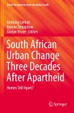 South African Urban Change Three Decades After Apartheid