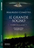 Il grande sogno (eBook, ePUB)