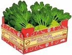 Small foot 9855 - Stiege Kohlrabi, Karton Filz-Kohlrabi, Gemüse für Kaufladen/Marktstand, 13-teilig