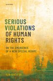 Serious Violations of Human Rights (eBook, PDF)