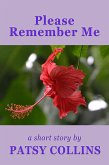 Please Remember Me (eBook, ePUB) Please Remember Me (eBook, ePUB)