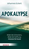 Apokalypse (eBook, PDF)