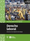 Derecho laboral (eBook, ePUB) Derecho laboral (eBook, ePUB)
