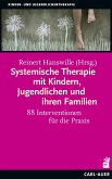 Systemische Therapie mit Kindern, Jugendlichen und ihren Familien