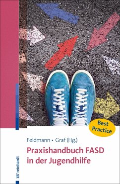 Praxishandbuch FASD in der Jugendhilfe (eBook, PDF)