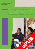 Jóvenes y vulnerabilidad social en el México actual (eBook, ePUB)