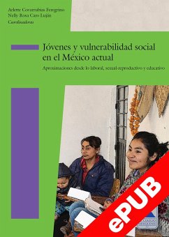 Jóvenes y vulnerabilidad social en el México actual (eBook, ePUB) - Caro Luján, Nelly Rosa