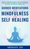 Guided Meditations for Mindfulness and Self Healing (eBook, ePUB)