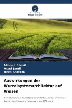 Auswirkungen der Wurzelsystemarchitektur auf Weizen - Sharif, Misbah;Jamil, Asad;Saleem, Azka