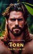 Outlaw of Torn (eBook, ePUB) - Bild 1
