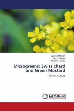 Microgreens: Swiss chard and Green Mustard