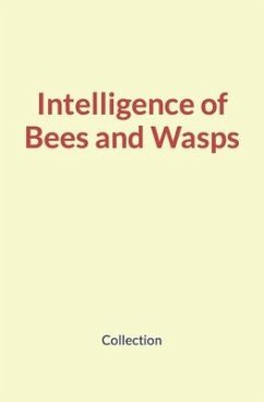 Intelligence of Bees and Wasps - Nature and Human Studies; Collection