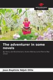 The adventurer in some novels