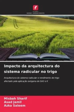 Impacto da arquitectura do sistema radicular no trigo - Sharif, Misbah;Jamil, Asad;Saleem, Azka