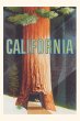 Vintage Journal Stylized California... - Bild 1