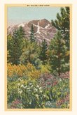 Vintage Journal Mt. Tallac, Lake Tahoe