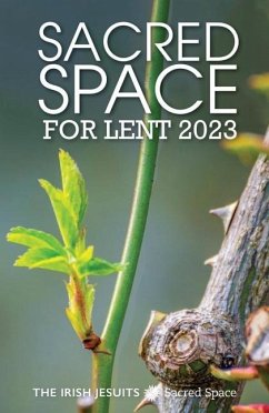 Sacred Space for Lent 2023 - Jesuits, The Irish