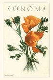 Vintage Journal California Poppies, Sonoma