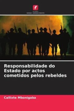 Responsabilidade do Estado por actos cometidos pelos rebeldes - Mbonigaba, Callixte