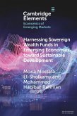 Harnessing Sovereign Wealth Funds in Emerging Economies Toward Sustainable Development