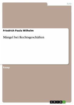 Mängel bei Rechtsgeschäften - Wilhelm, Friedrich Paula