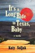It's a Long Ride to Texas, Baby - Bild 1