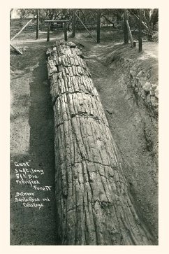 Vintage Journal Giant Petrified Log, Santa Rosa