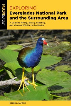 Cover Exploring Everglades National Park and the Surrounding Area