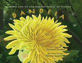 Book One of the Hidden Magic of Plants: Dandeia